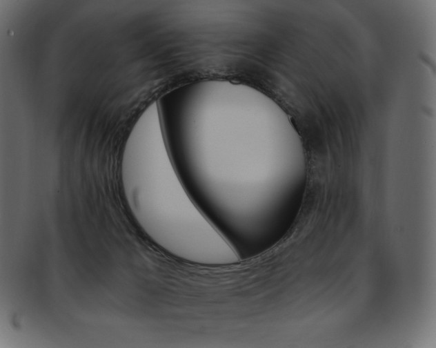 X0000093170029200709261105