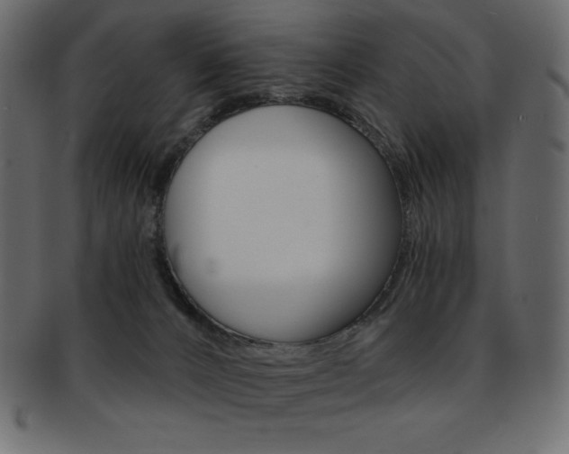 X0000093170032200709261105