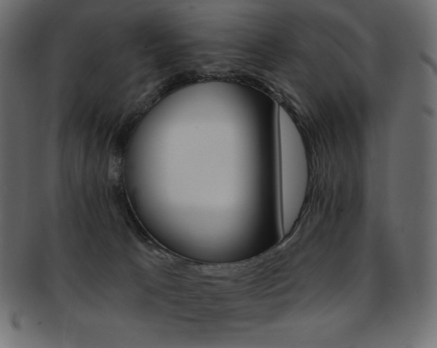 X0000093170033200709261105