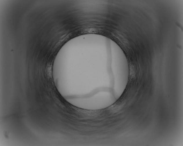 X0000093170036200709261105