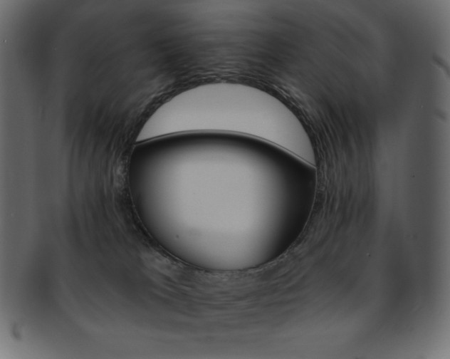 X0000093170037200709261105