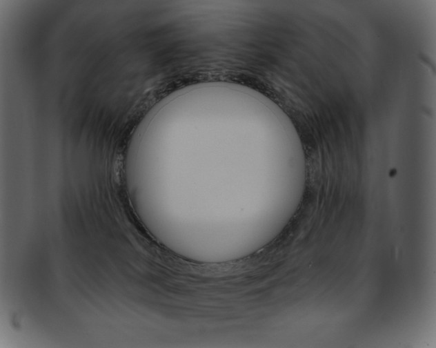 X0000093170038200709261105