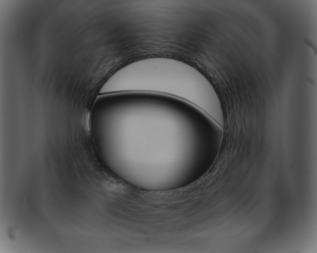 X0000093170041200709261105