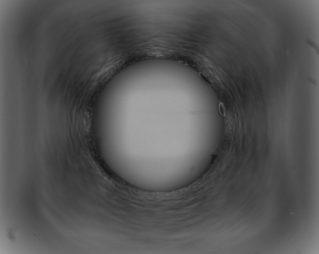 X0000093170043200709261105
