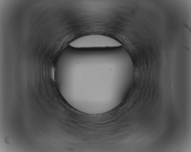 X0000093170046200709261105