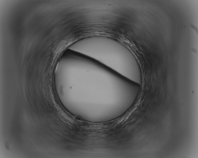 X0000093170049200709261104