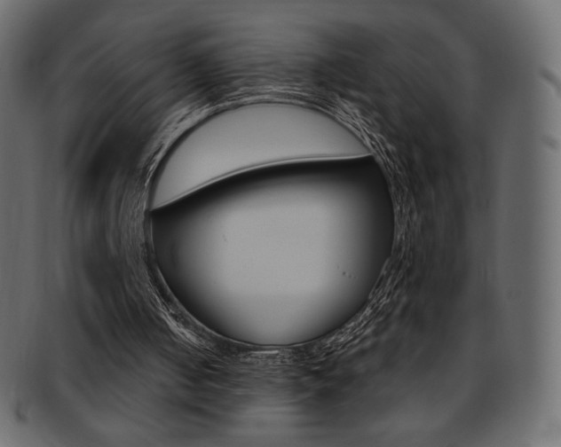 X0000093170050200709261104