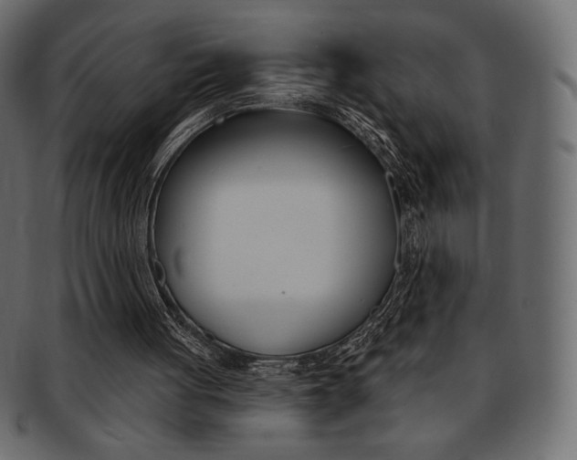 X0000093170051200709261104