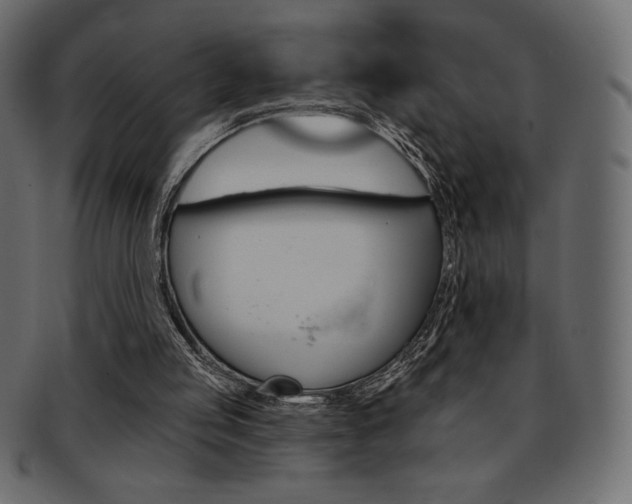 X0000093170053200709261104
