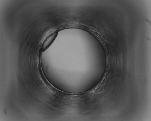 X0000093170054200709261104