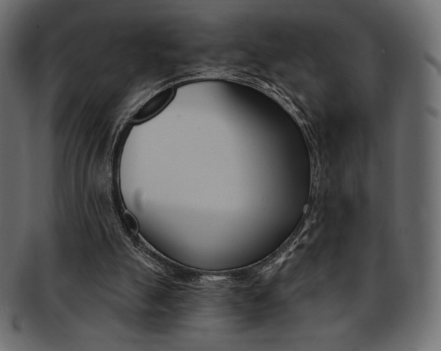 X0000093170055200709261104