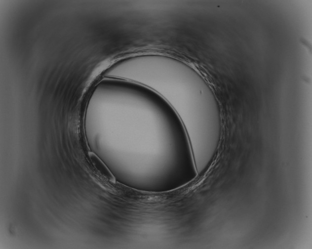 X0000093170056200709261104