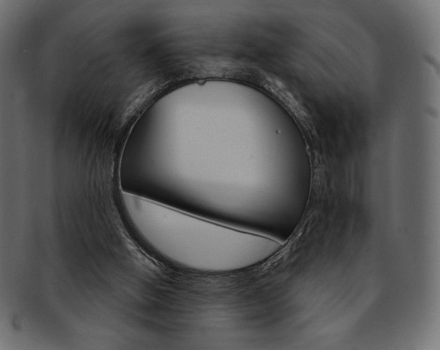 X0000093170058200709261104