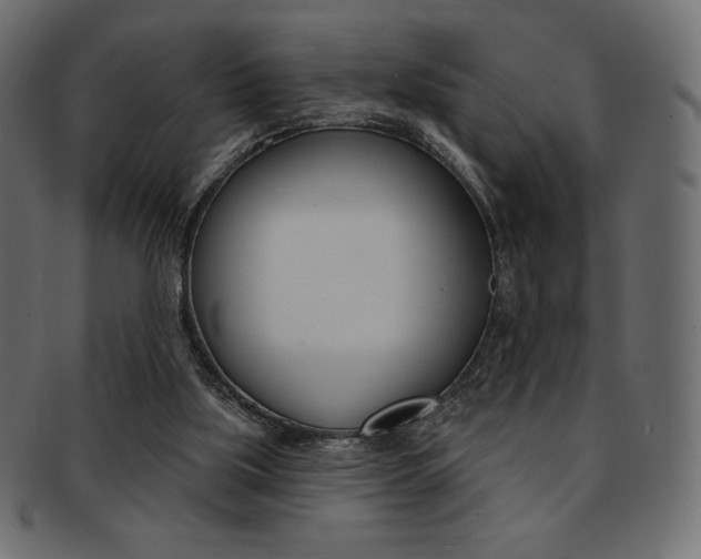 X0000093170059200709261104
