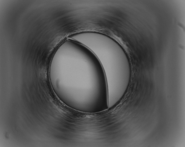X0000093170060200709261104