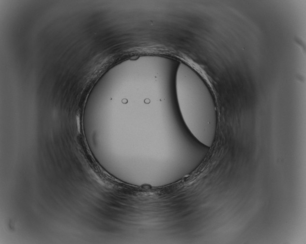 X0000093170061200709261104