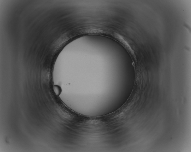 X0000093170063200709261104