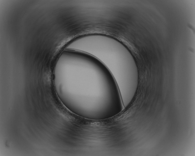 X0000093170064200709261104