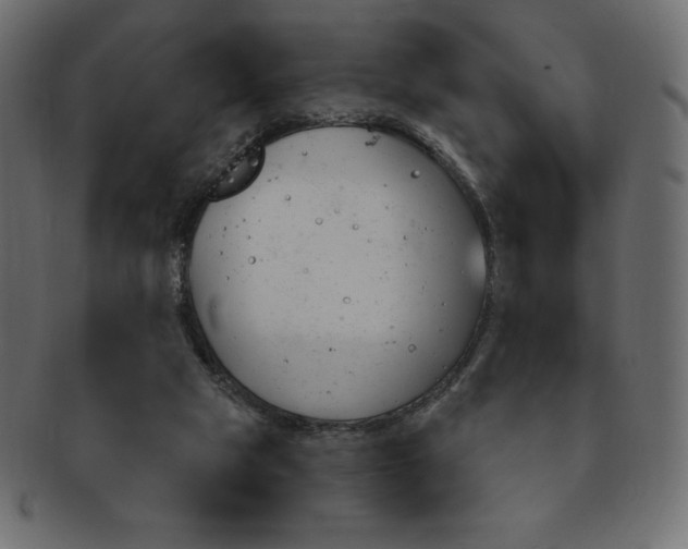 X0000093170065200709261104