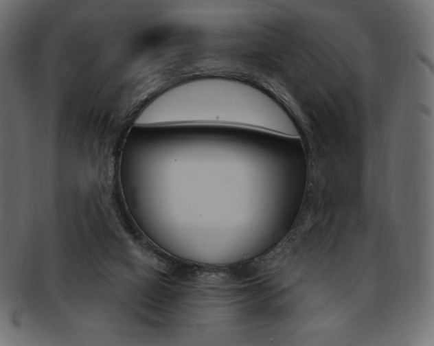 X0000093170066200709261104