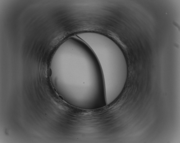 X0000093170068200709261104