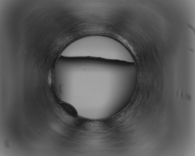X0000093170069200709261104
