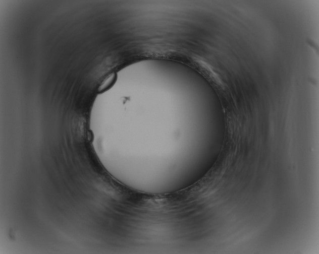 X0000093170071200709261104