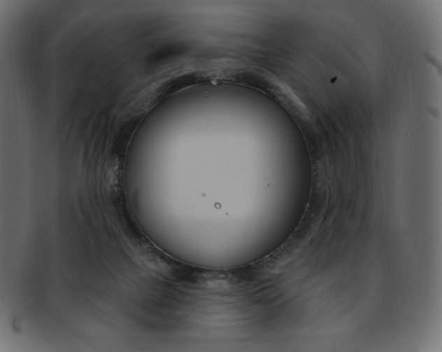 X0000093170073200709261104