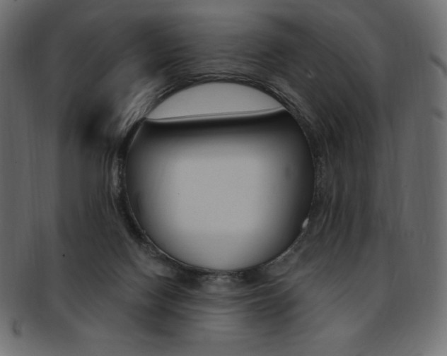 X0000093170074200709261104