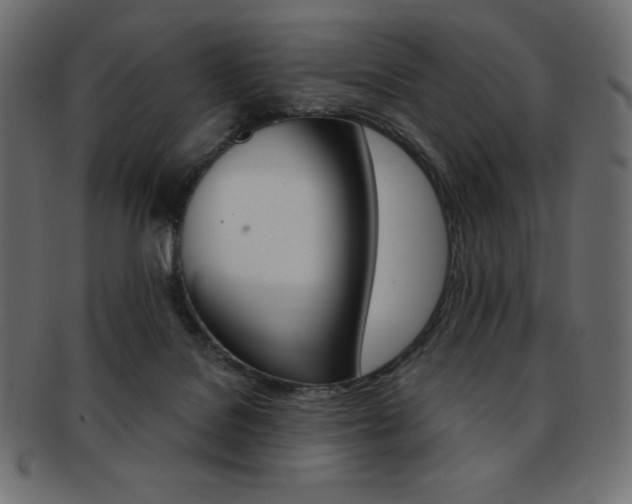 X0000093170076200709261104