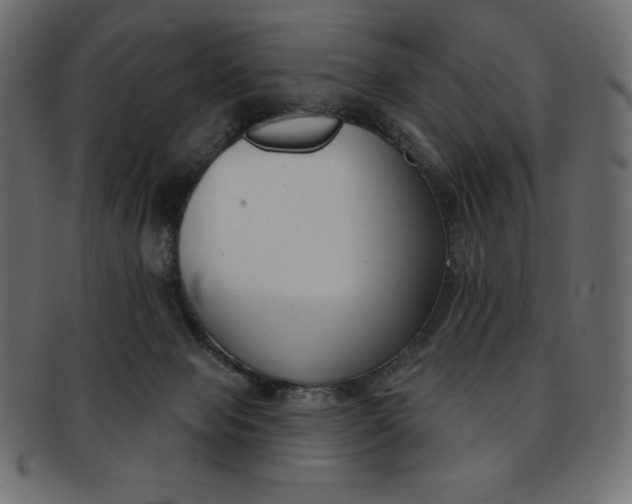 X0000093170077200709261104