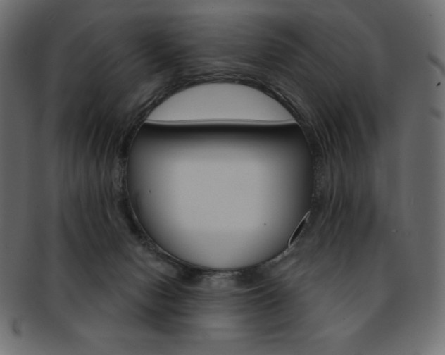 X0000093170078200709261104
