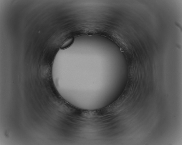 X0000093170079200709261104