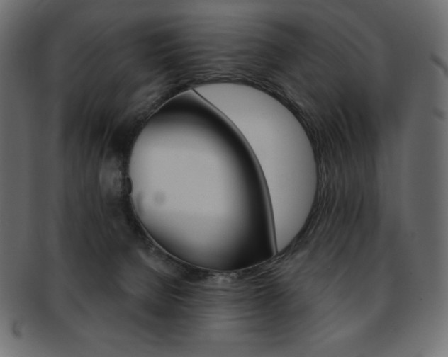 X0000093170080200709261105