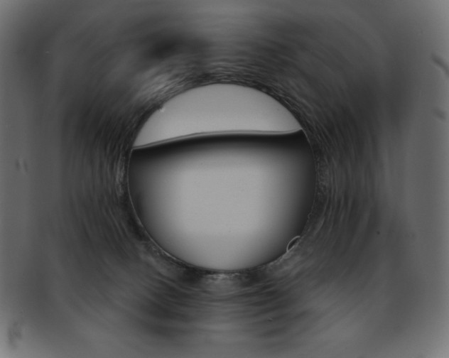 X0000093170082200709261105