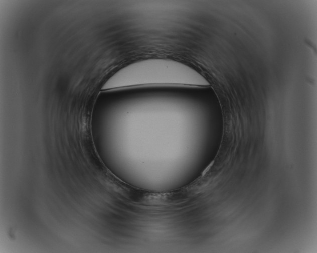 X0000093170084200709261105