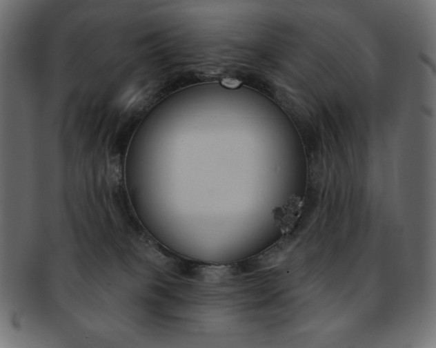 X0000093170085200709261105