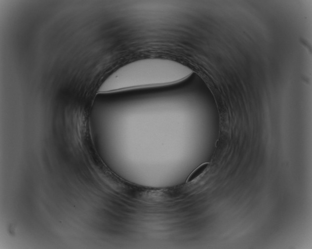 X0000093170086200709261105