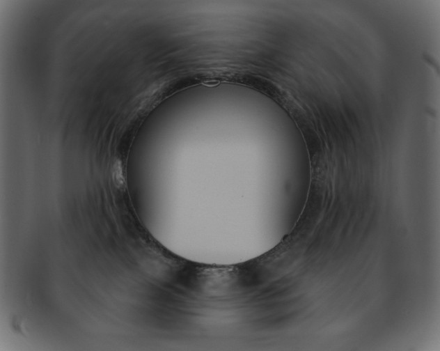 X0000093170089200709261105