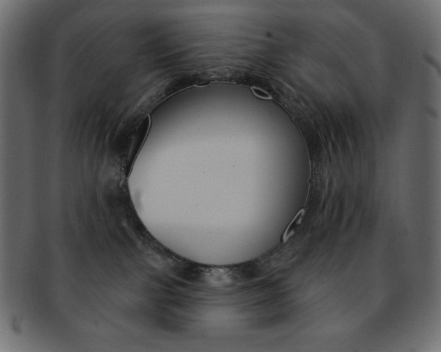 X0000093170091200709261105