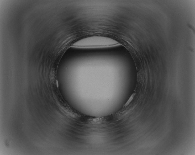 X0000093170092200709261105