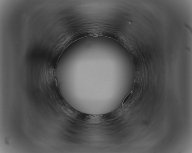 X0000093170093200709261105