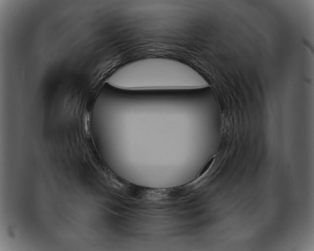 X0000093170094200709261105