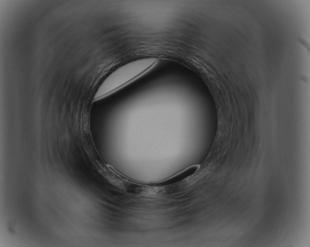 X0000093170096200709261105