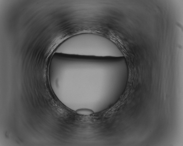 X0000093170098200709261104
