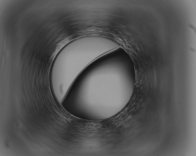 X0000093170099200709261104