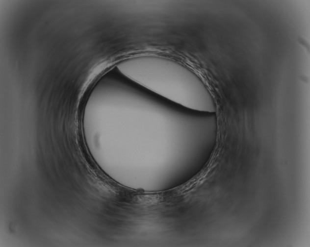X0000093170102200709261104