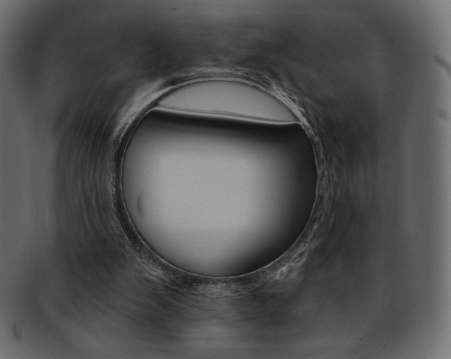 X0000093170103200709261104