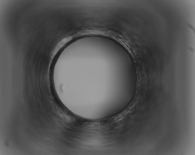 X0000093170104200709261104