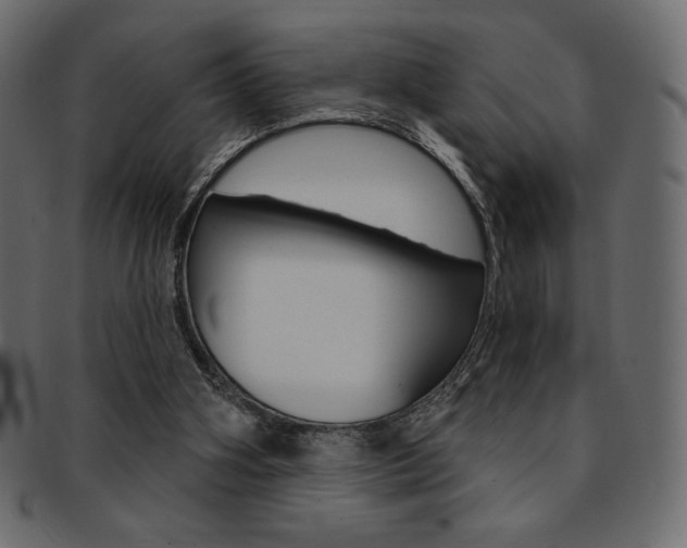X0000093170106200709261104